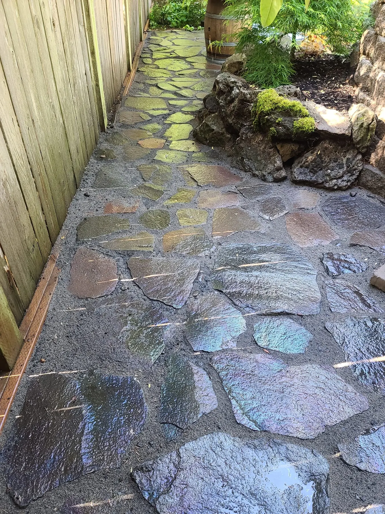 Slate flagstone path lined with moss-covered boulders and fence