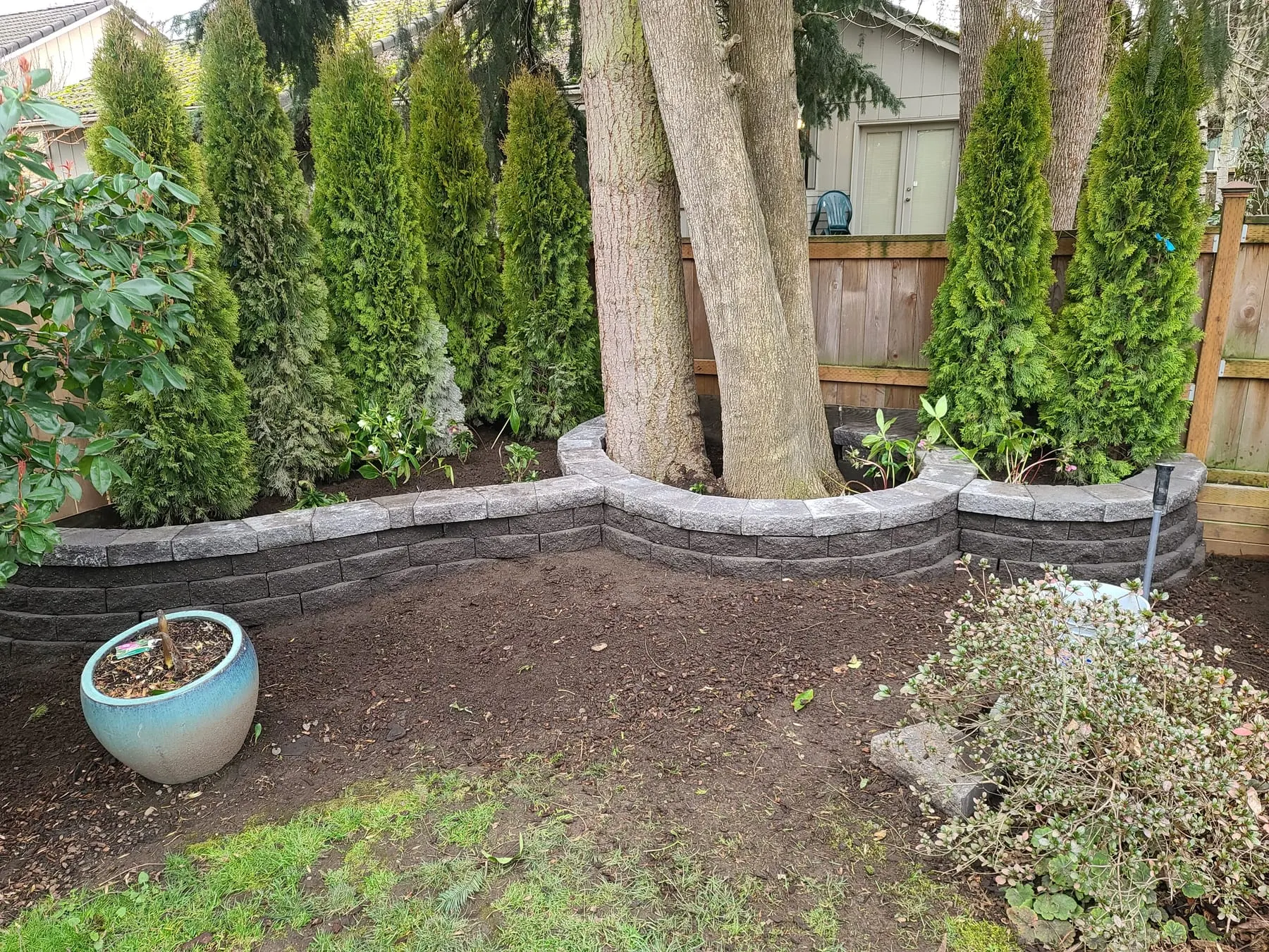 Curved stone retaining wall surrounding mature trees and evergreen plantings in backyard