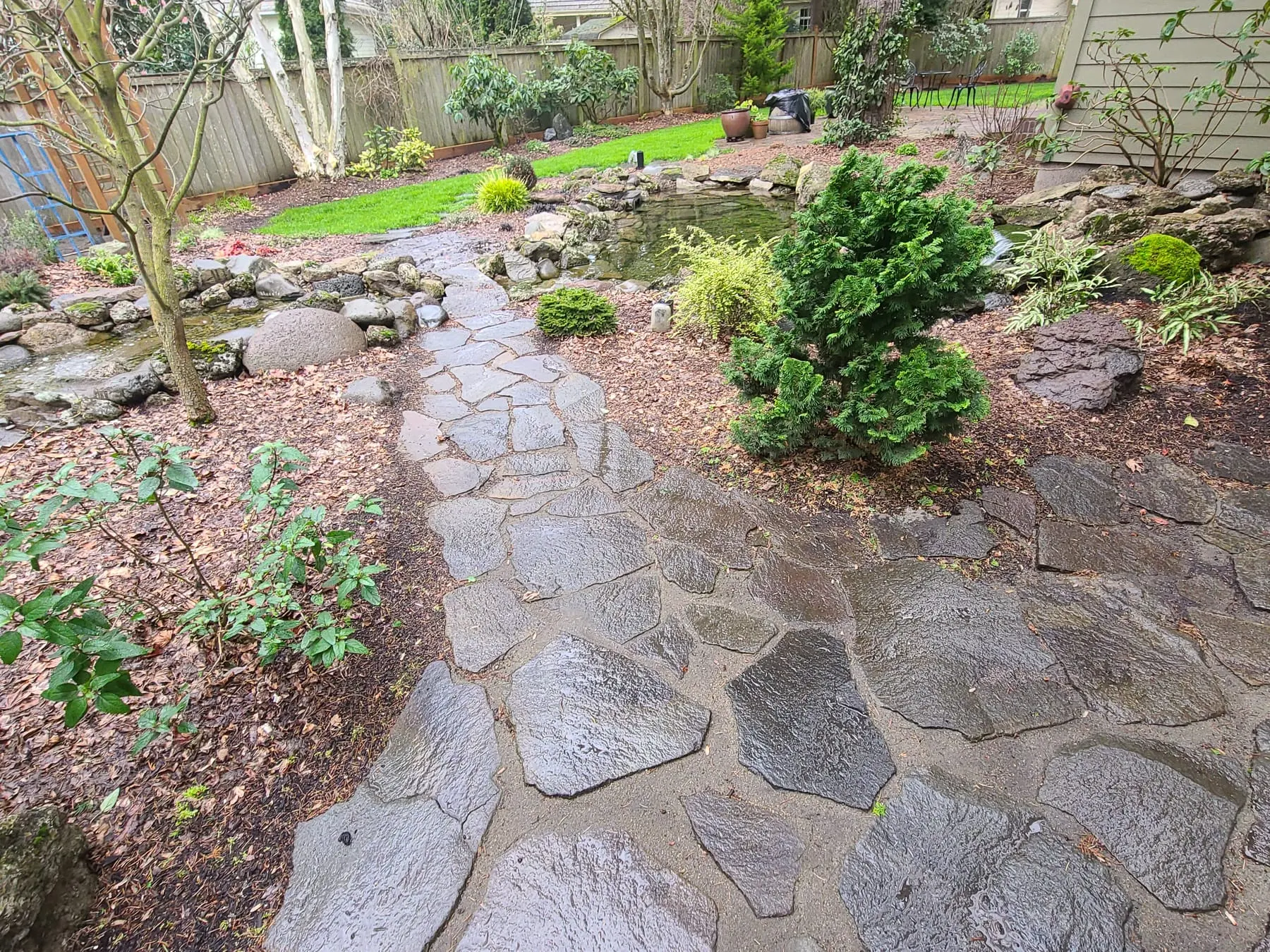 Curved flagstone pathway through landscaped backyard with plantings and stone edging