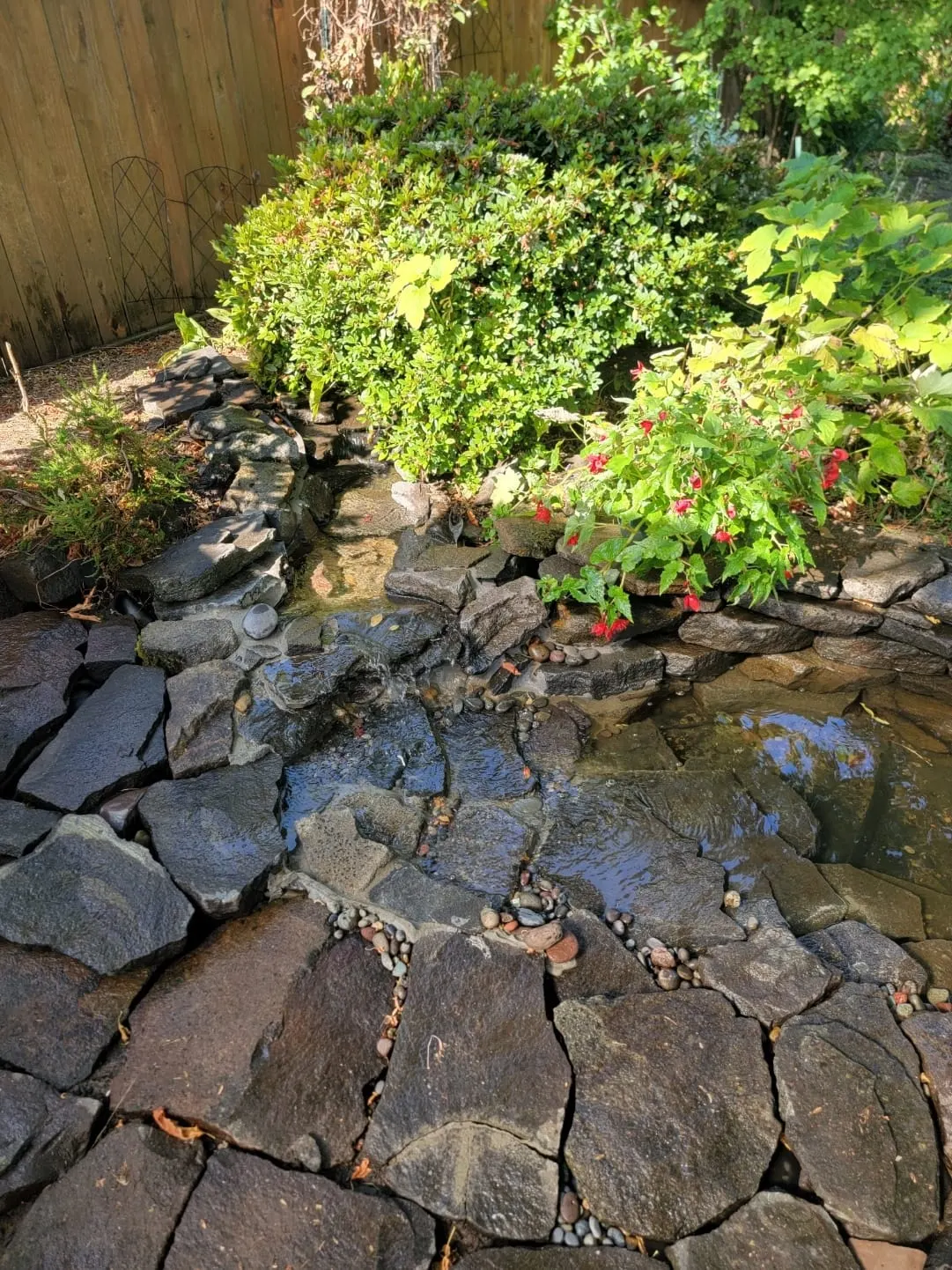 Small pond with dark water, flagstone edging, and surrounding plantings
