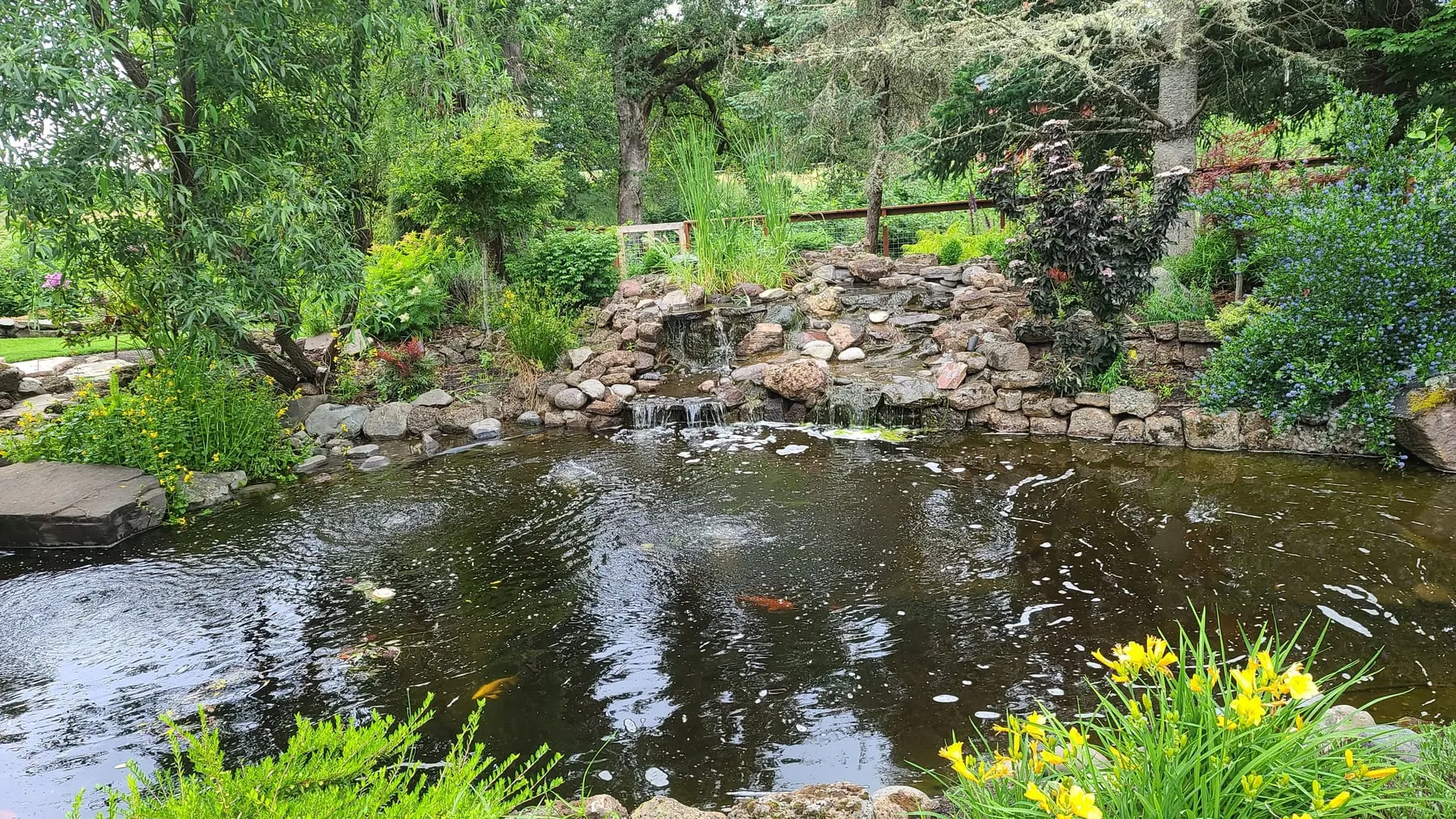 Large ornamental pond with stone edges, mature trees, and lush green landscaping