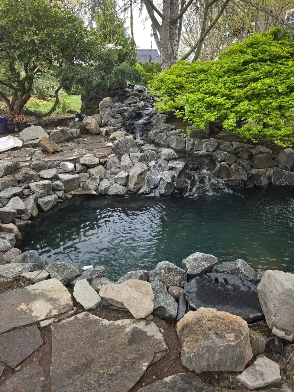 Boulder-lined ornamental pond with deep water and vibrant green foliage backdrop