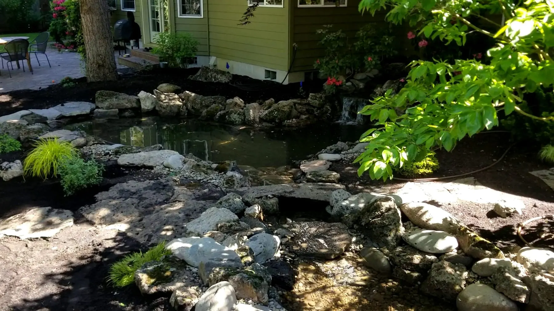 Backyard pond with natural stone edging, lush plantings, and residential setting