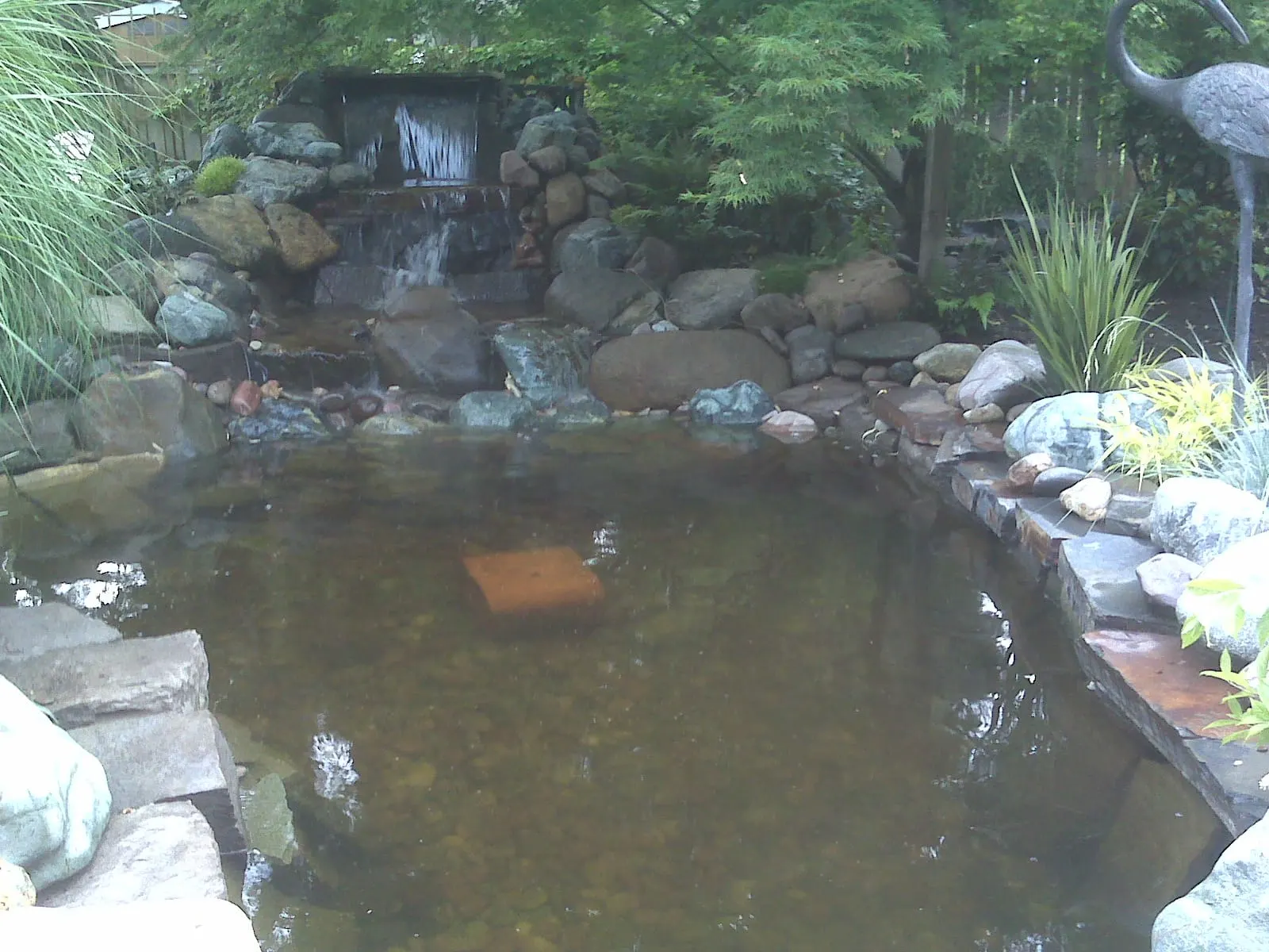 Murky koi pond with rocky waterfall backdrop and stone edging