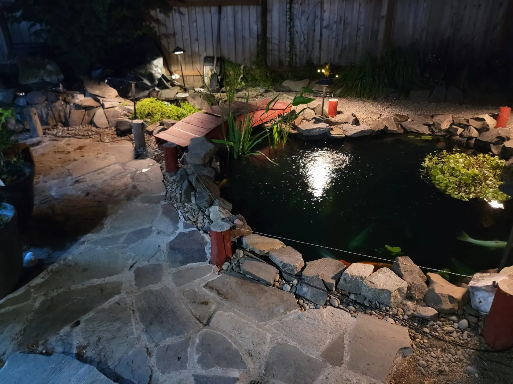 Lit pond at night with stone patio, plants, and wooden fence backdrop