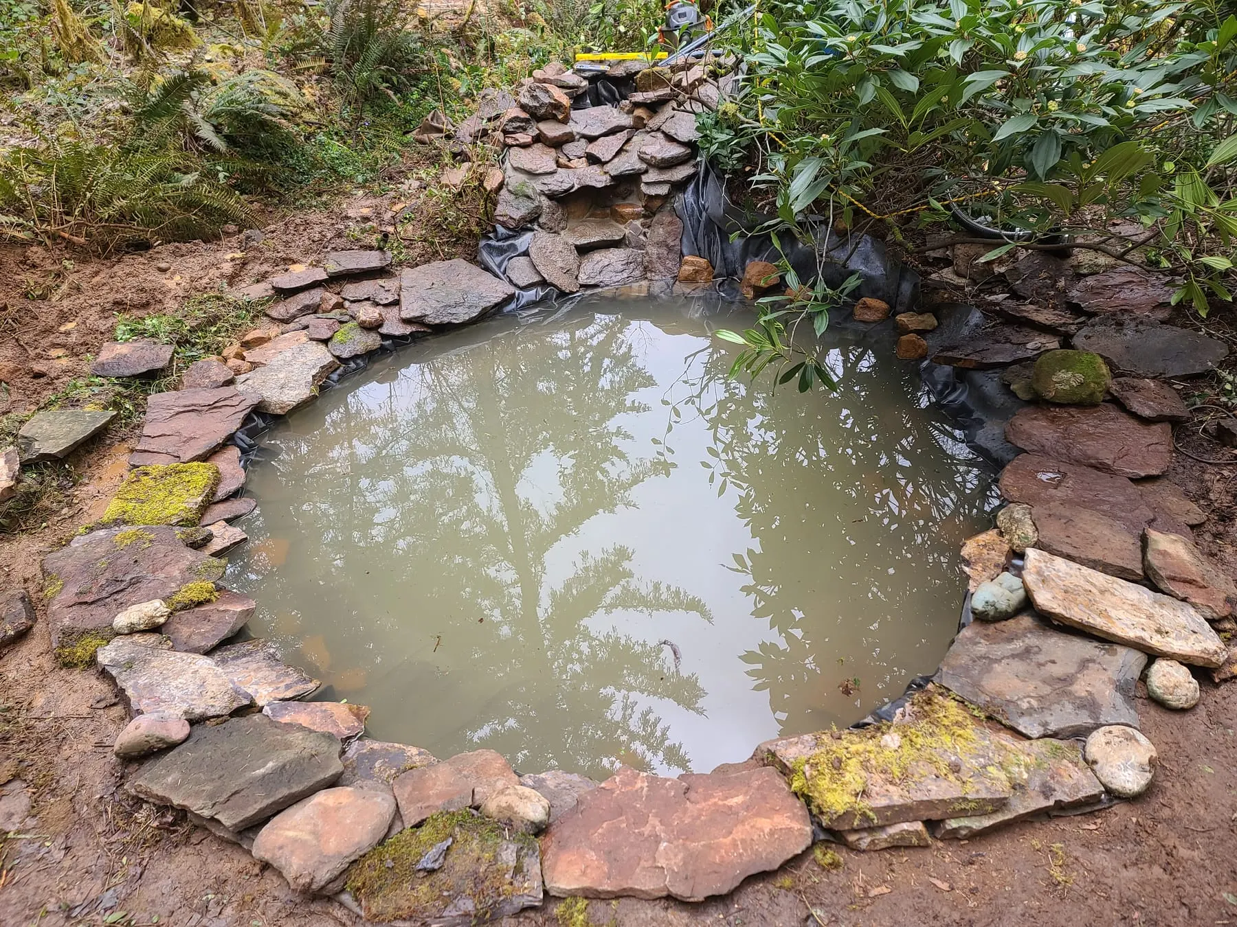Murky pond with stacked stone border and overgrown vegetation