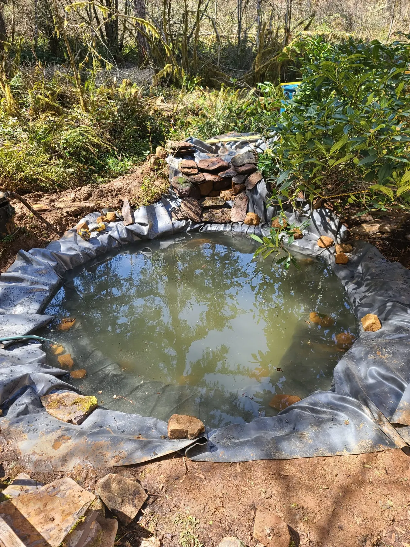 Pond construction site with black liner, scattered rocks, and building materials