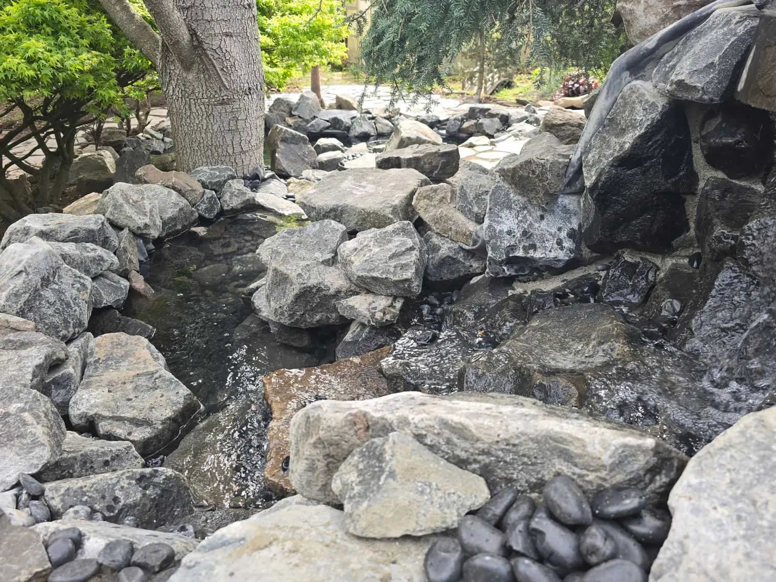 Natural stone creek with large boulders and mature tree canopy