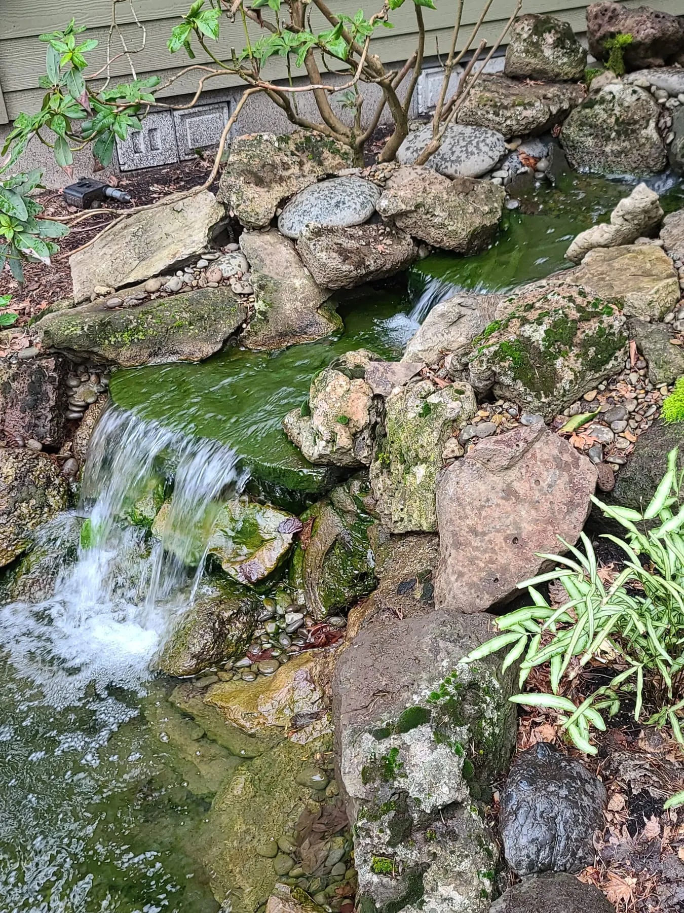 Small cascading stream flowing over moss-covered rocks and boulders