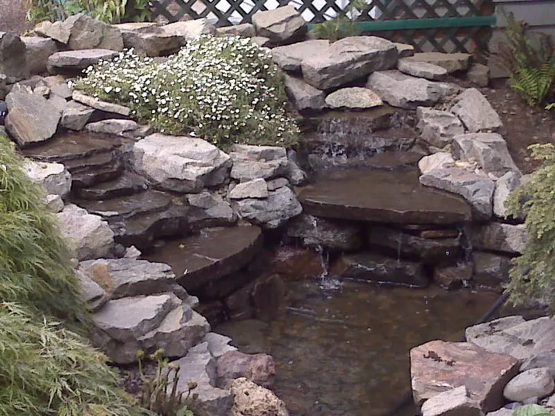 Small pond surrounded by stacked slate rocks and green plantings